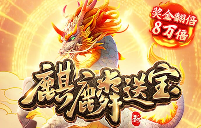 11133宝典下载14好