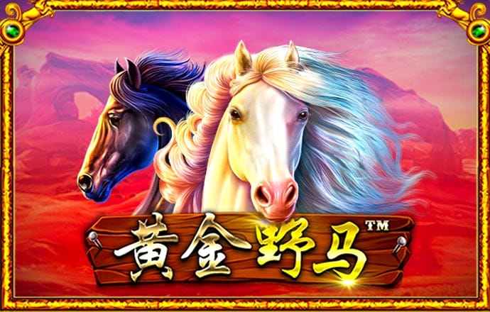 艾尚体育官方入口登录